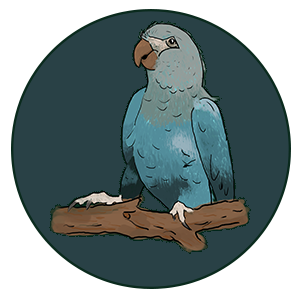 Spixara signature mail